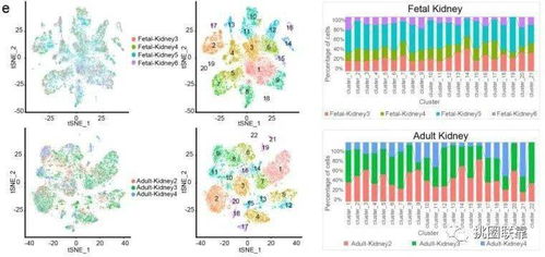 42分Nature頂刊單細(xì)胞測(cè)序綜述 刷新人類細(xì)胞圖譜認(rèn)知，揭示下一波研究熱點(diǎn)