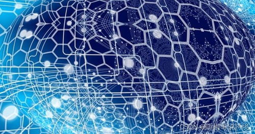 網(wǎng)頁抓取與網(wǎng)頁爬取的區(qū)別及其在自然科學(xué)研究與試驗(yàn)發(fā)展中的作用